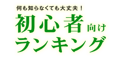 何も知らなくても大丈夫！初心者向けランキング