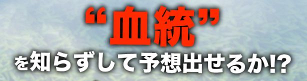 血統ウィナーズ血統知らずして