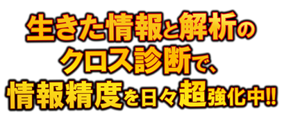 ボートキングダム_クロス診断